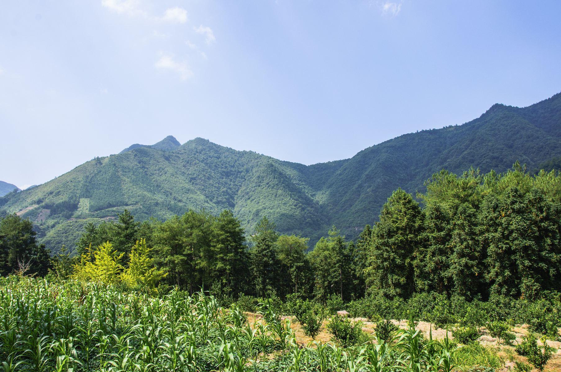 南岭国家森林公园