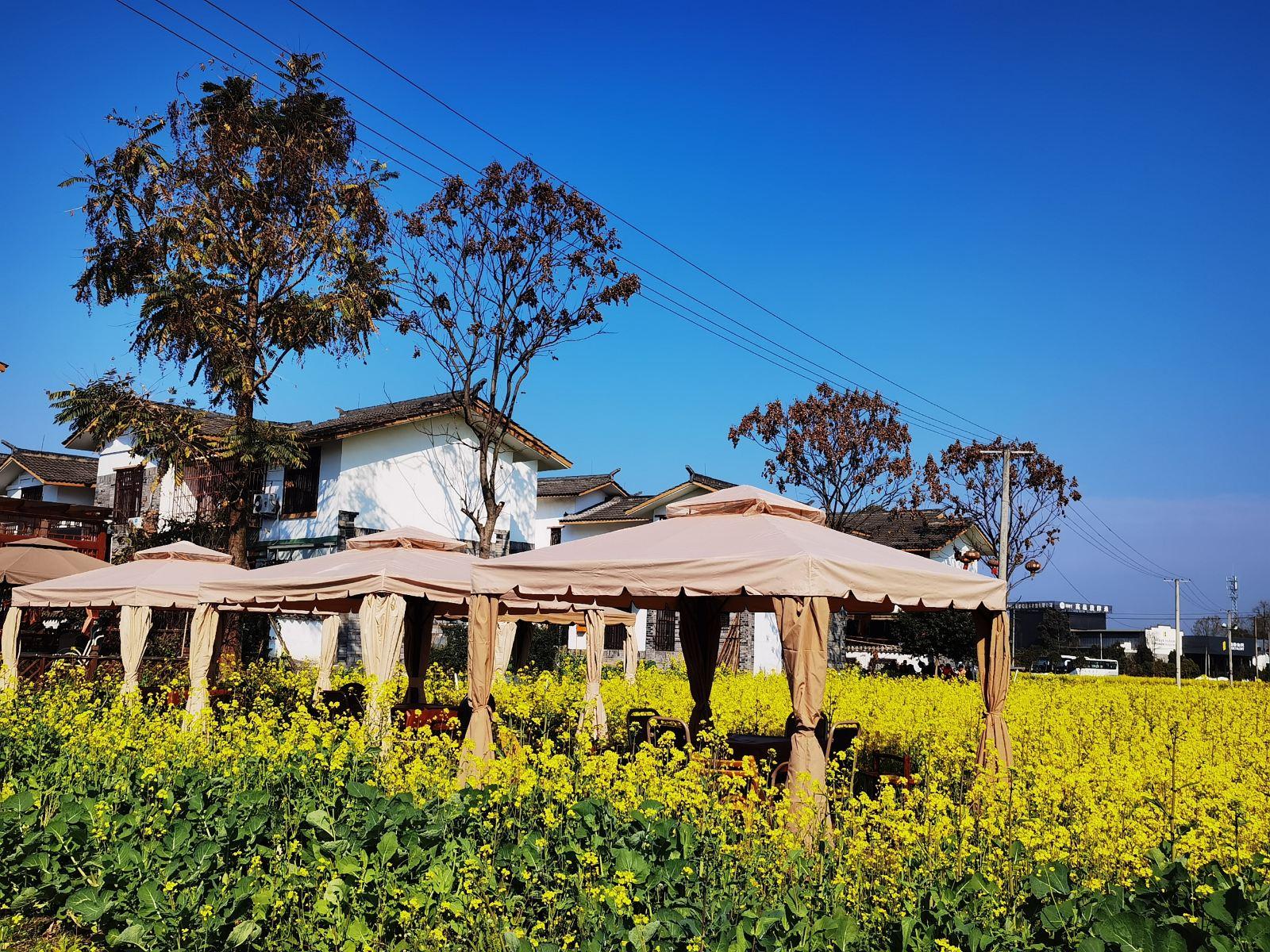 南岸美村