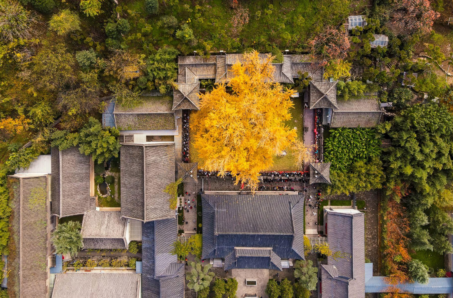 古观音禅寺