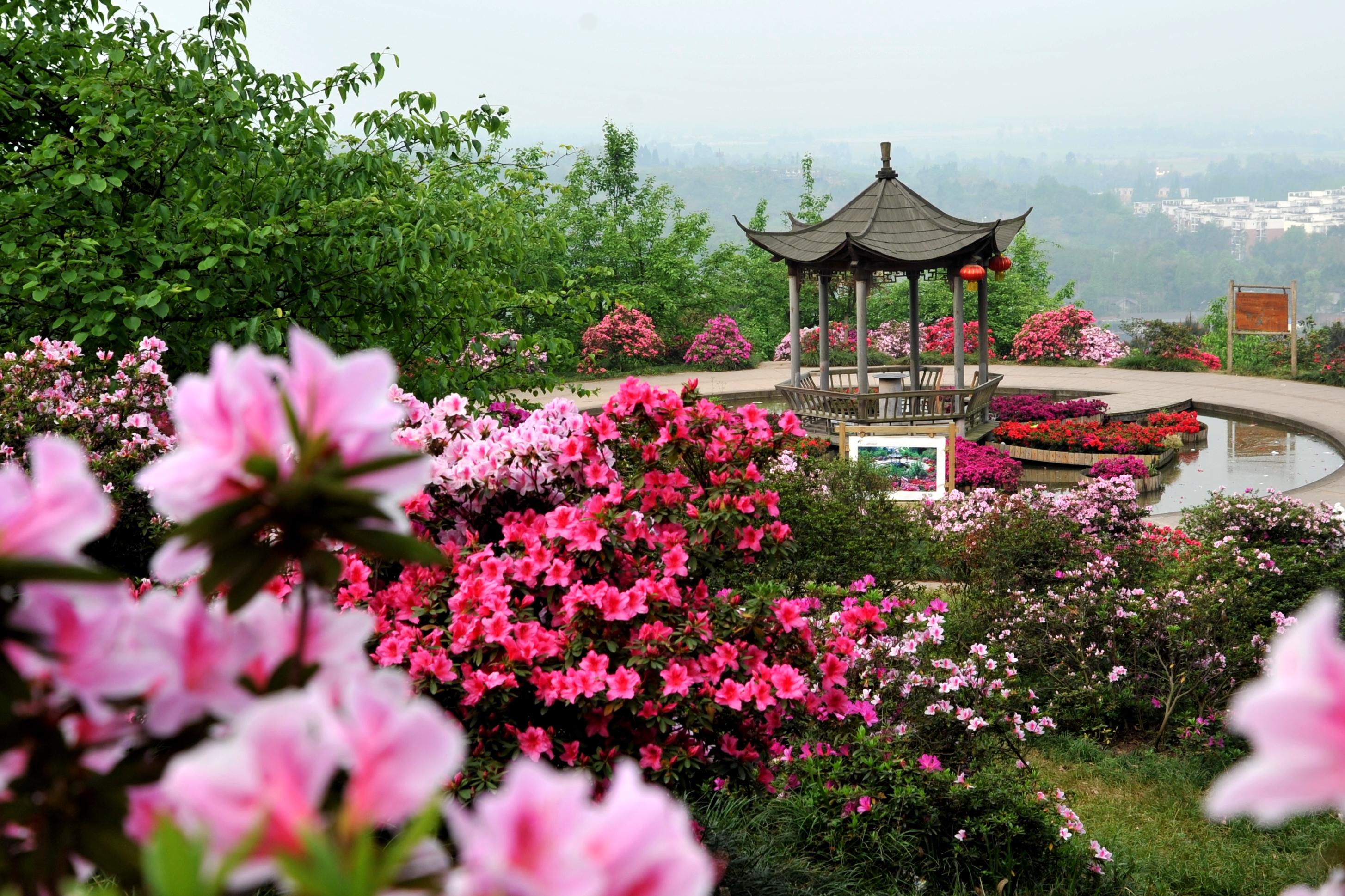 花舞人间