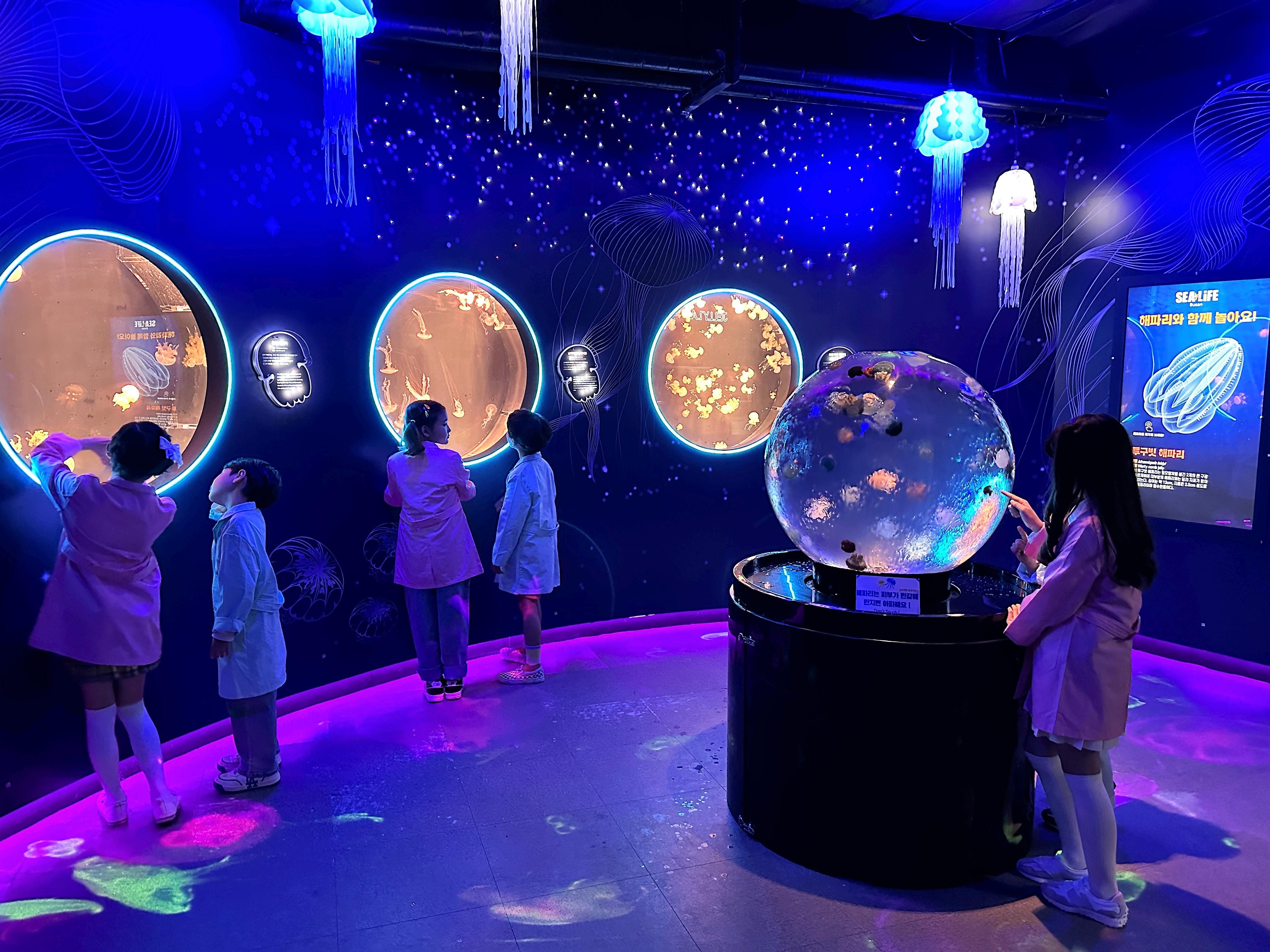釜山SEA LIFE水族馆