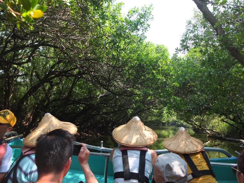 四草野生动物保护区