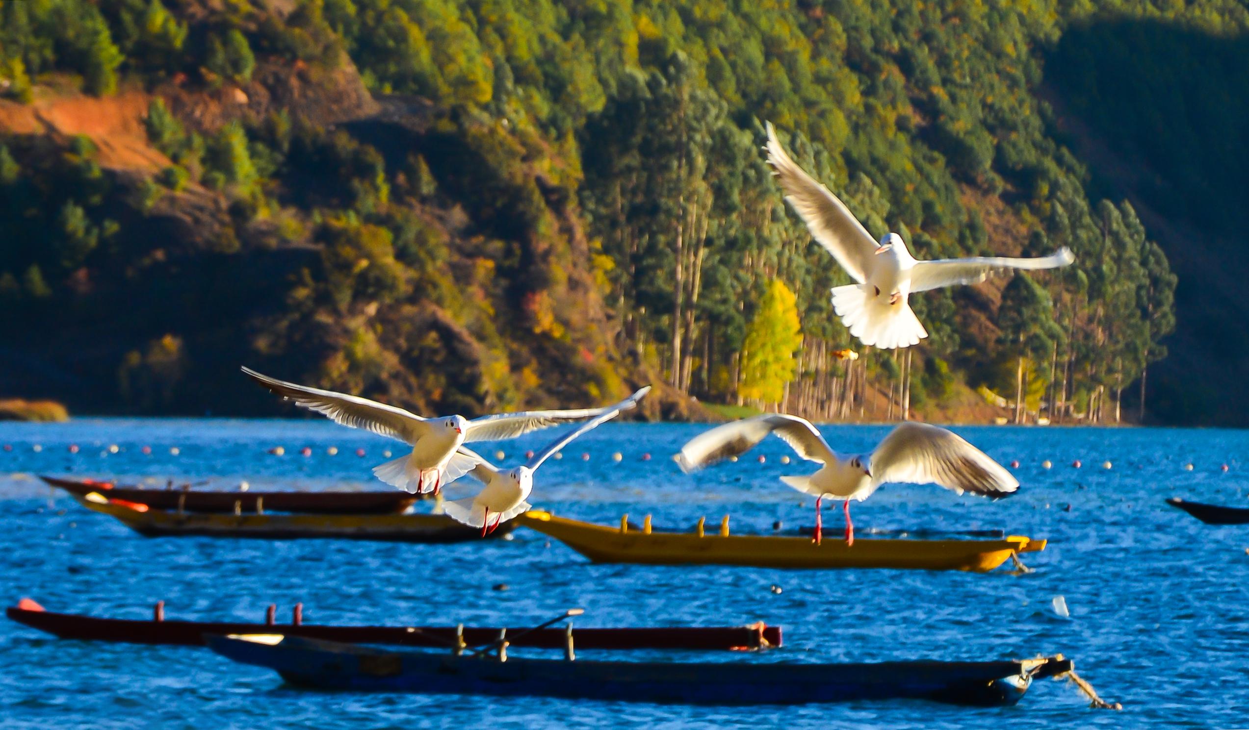 泸沽湖(四川)风景名胜区