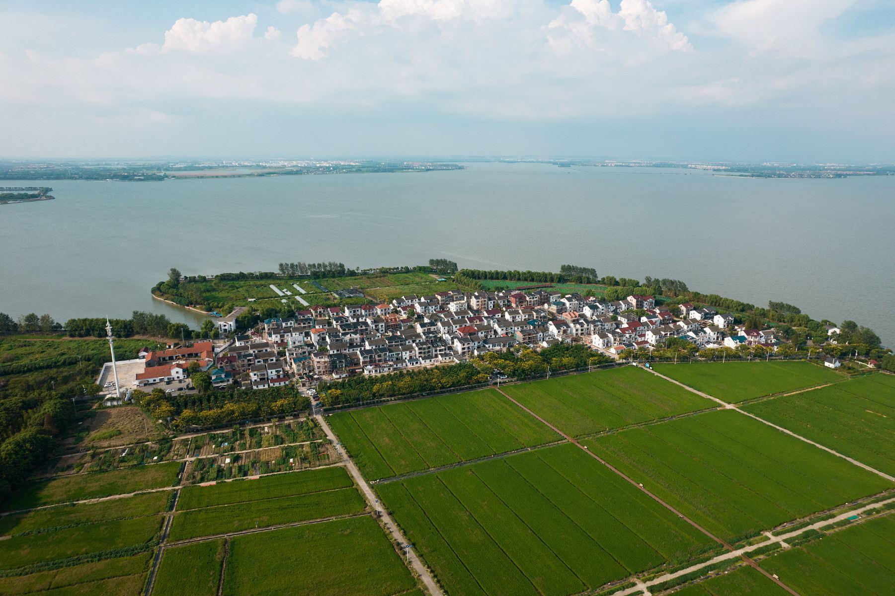 蔡浜村