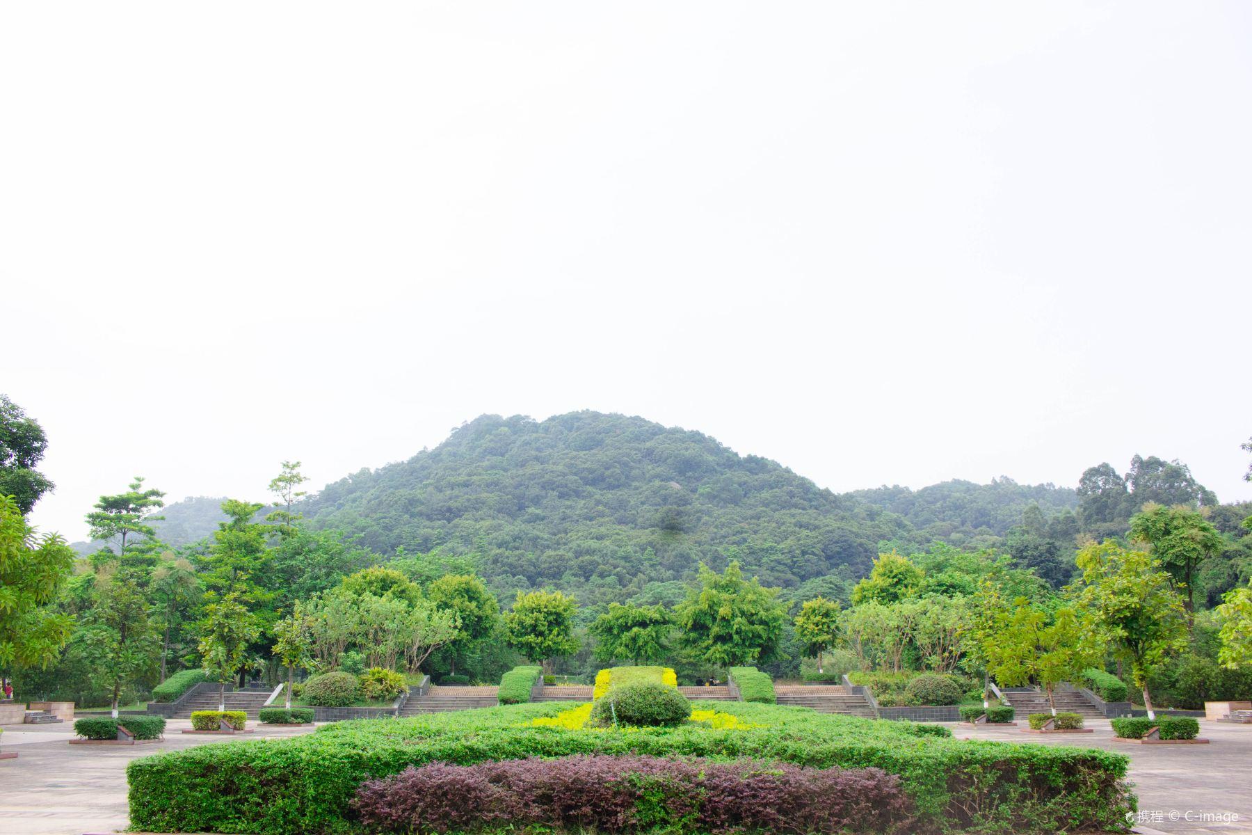龙头山森林公园
