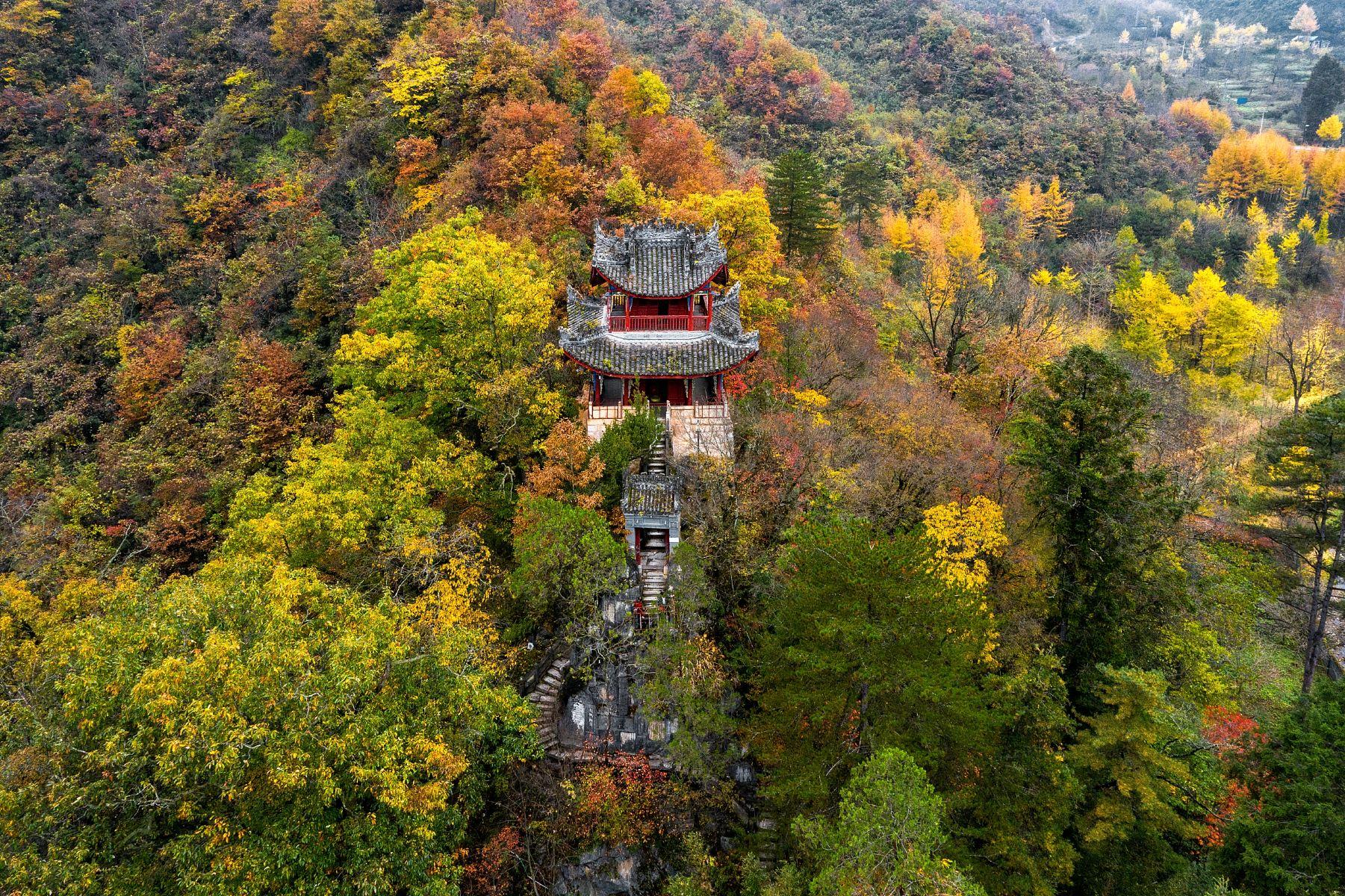紫柏山景区