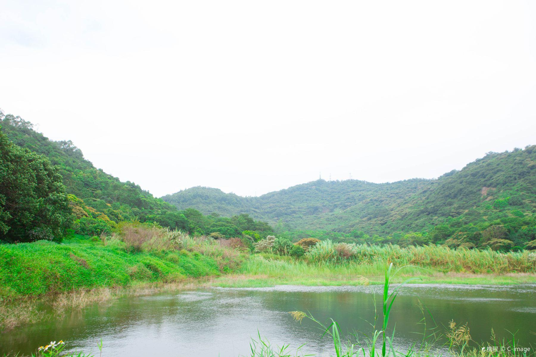 黄山鲁森林公园