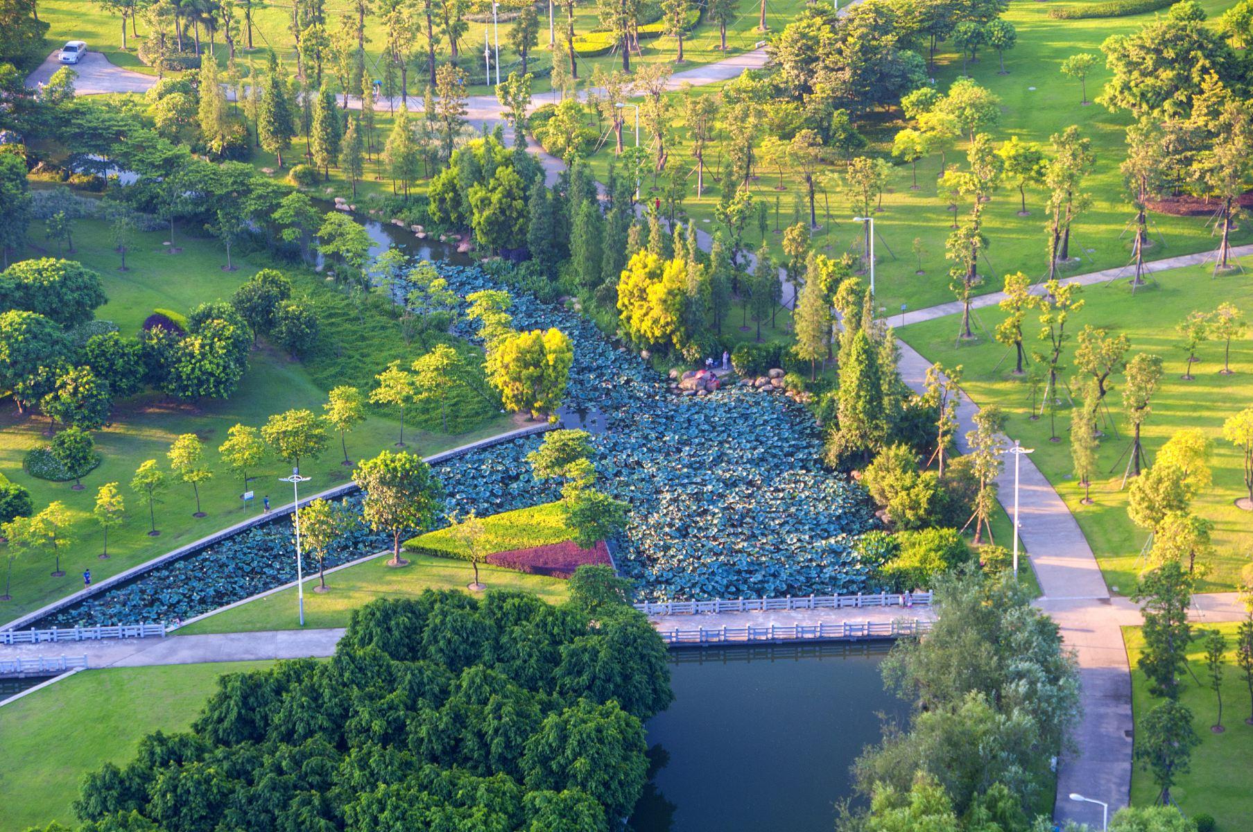 佛山植物园