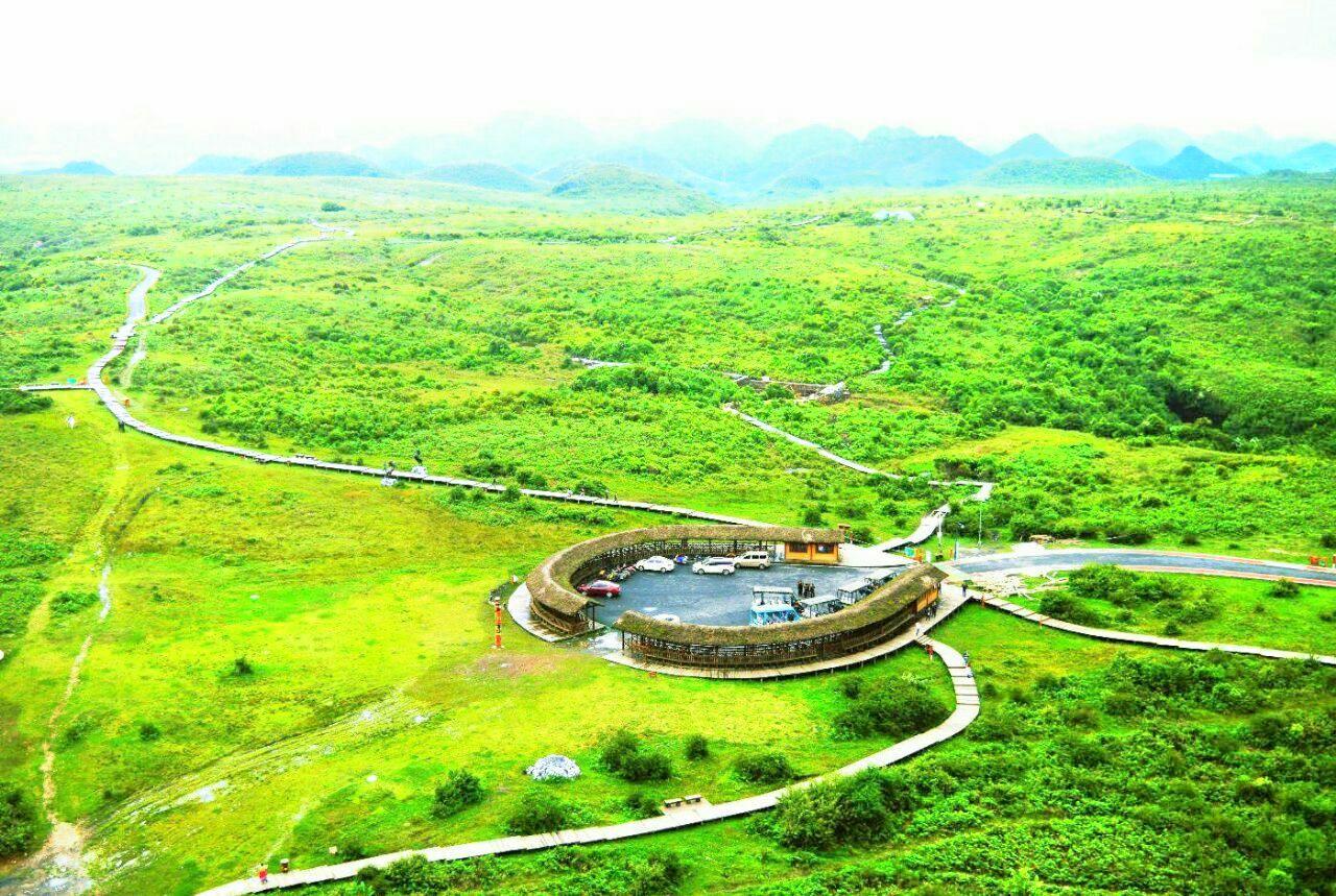 百里杜鹃方家坪景区