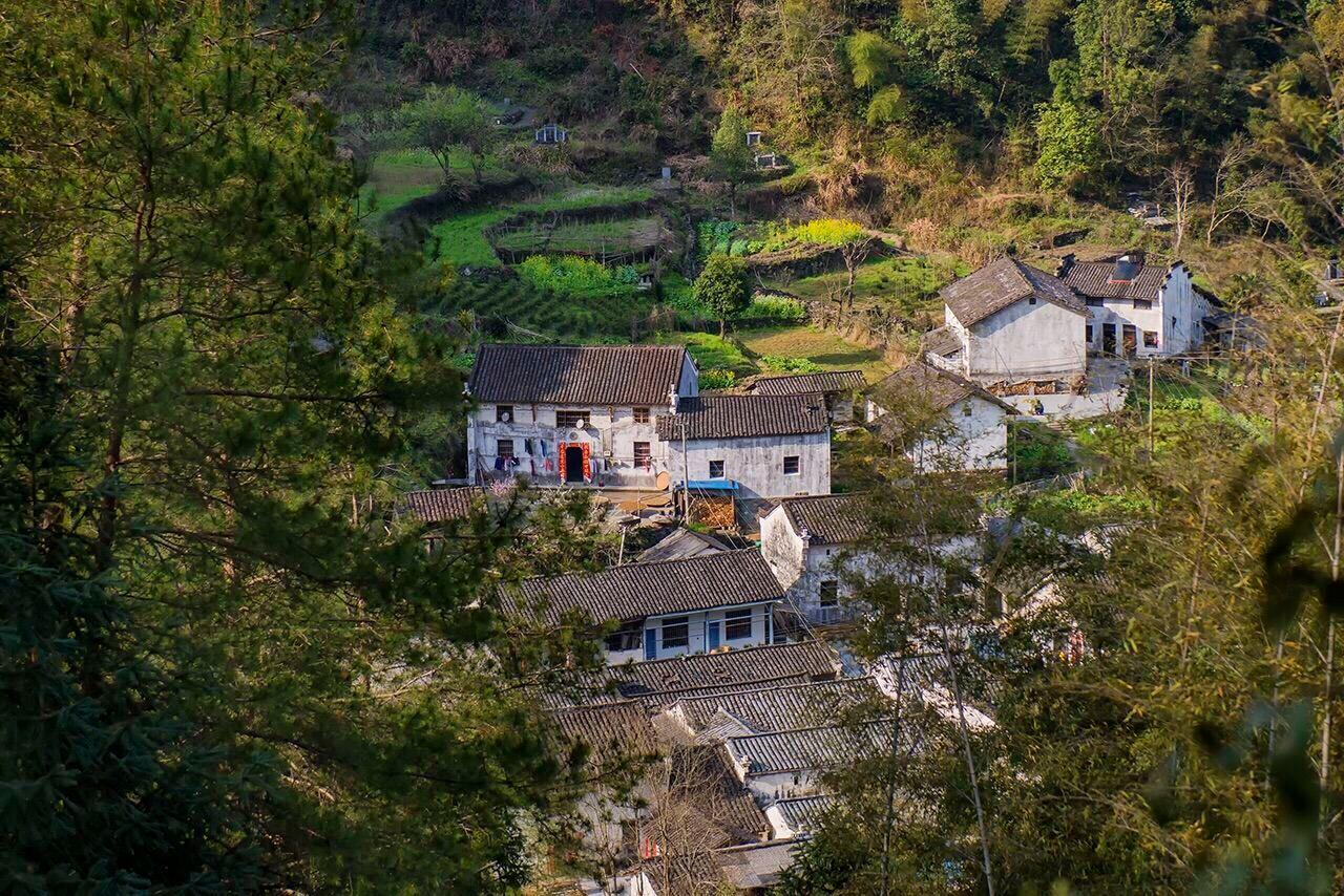 严家古村
