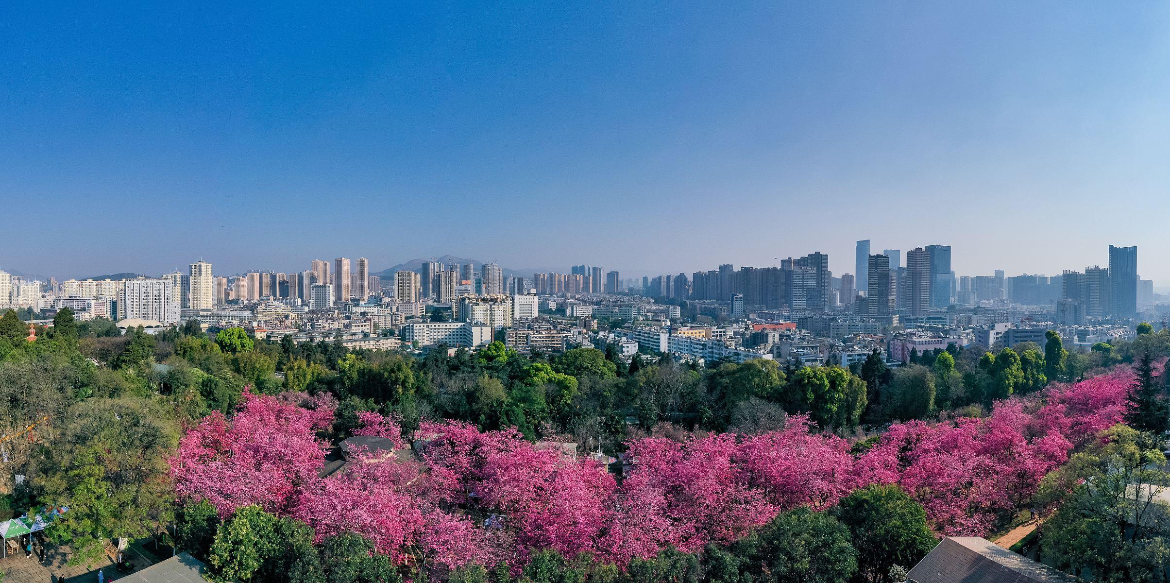 圆通山