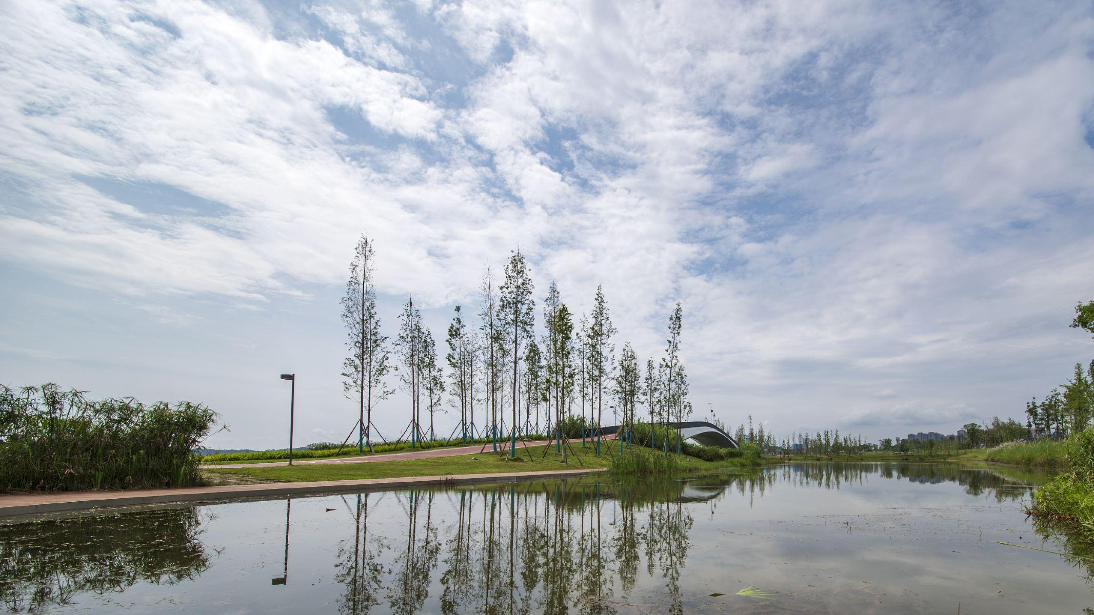 兴隆湖湿地公园