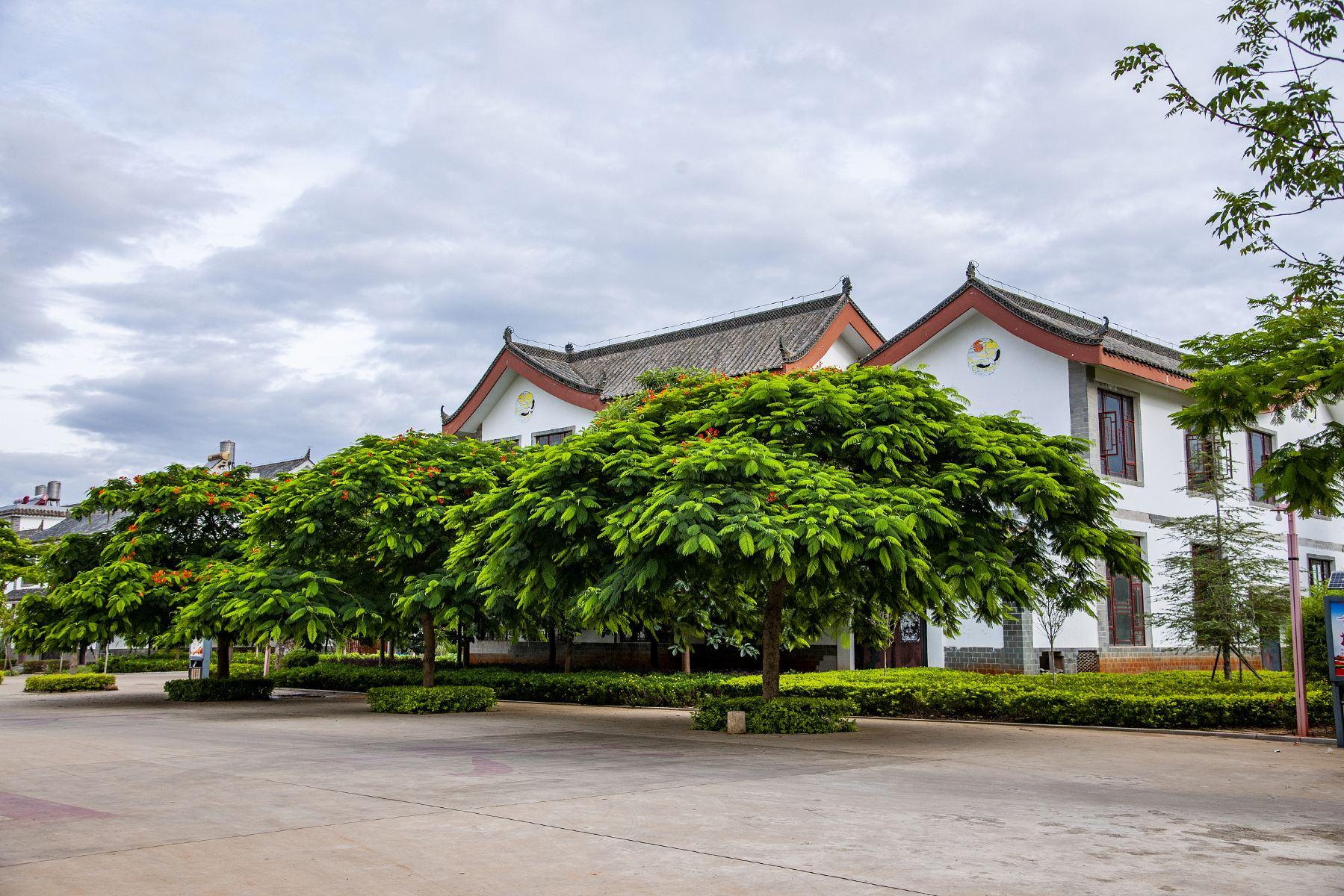 尼苏小镇