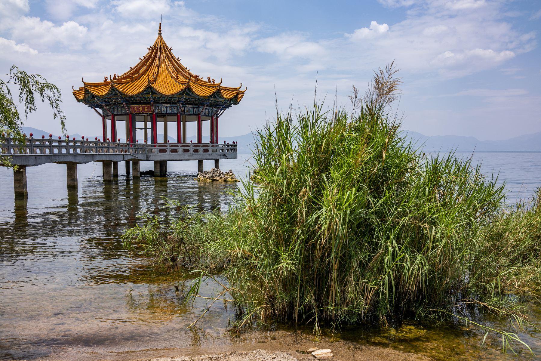 抚仙湖国家湿地公园