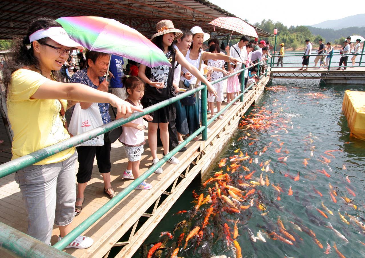 万绿湖风景区