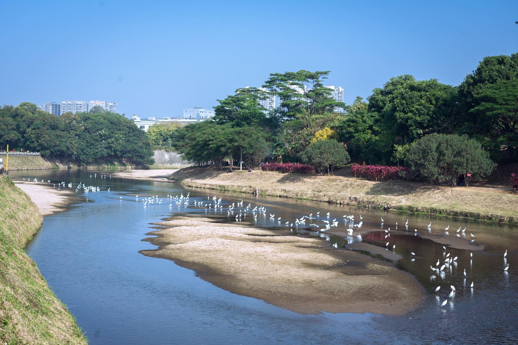 观澜河湿地公园
