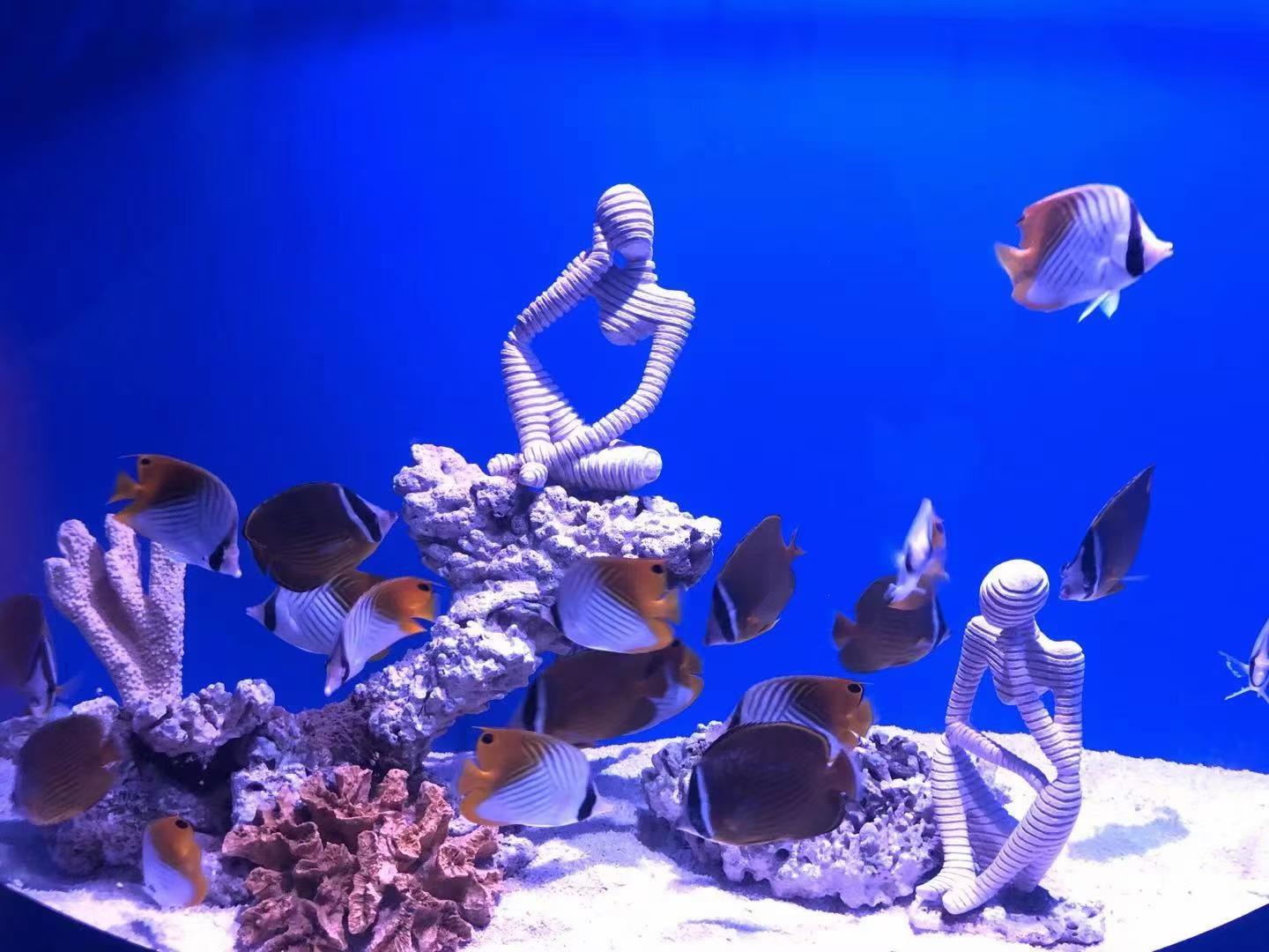 内江海昌海洋探索馆
